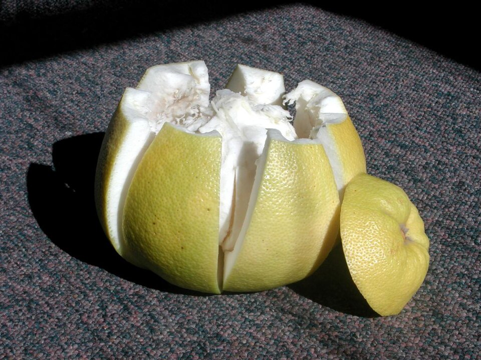 Fayl:Pummelo cut.jpg