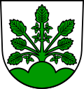 Haslach im Kinzigtal