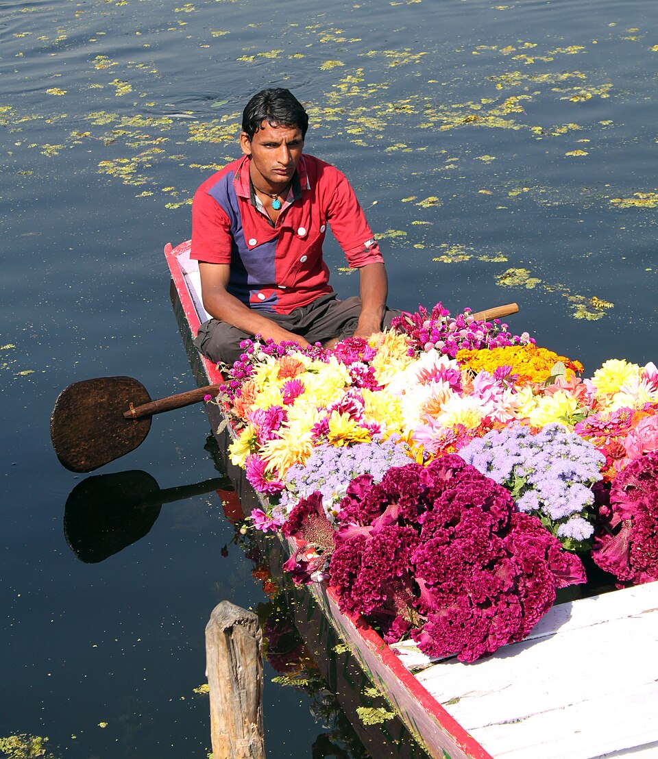 Fayl:Flower seller, Kashmir (8142583647).jpg