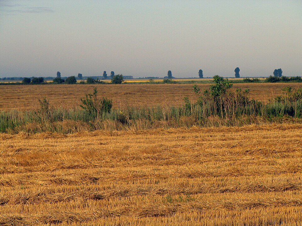 Fayl:Județul Călărași, România.jpg