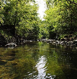 Taylor-Massey Creek daryosining Varden Vods Park hududidan oqib o'tishi
