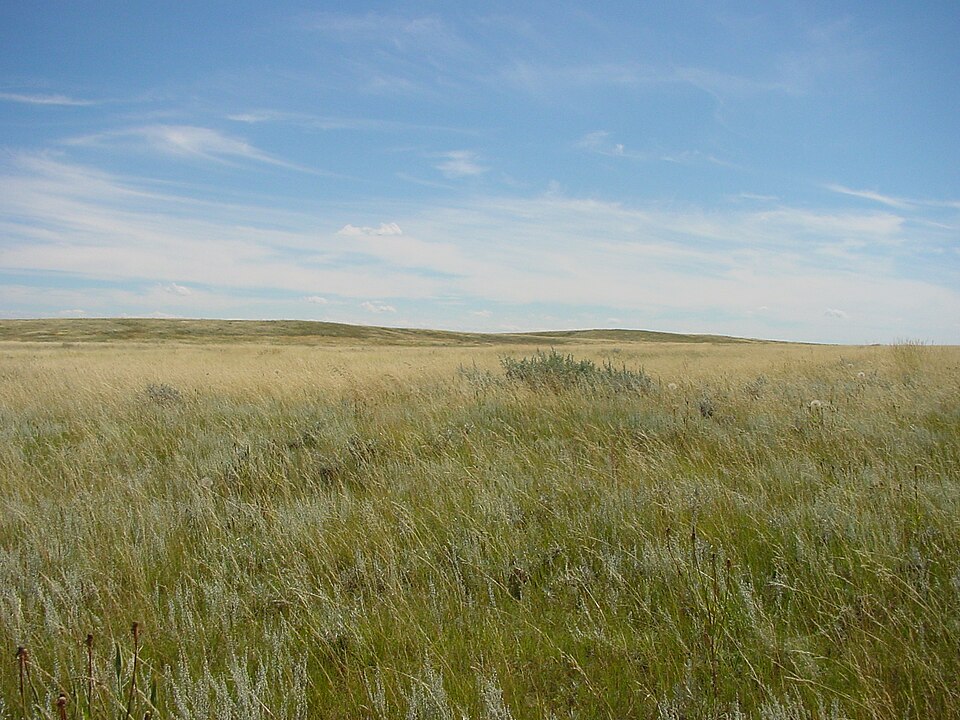 Fayl:Prairie near Brooks.JPG