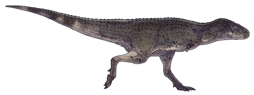 Fayl:Aucasaurus garridoi by Paleocolour.jpg