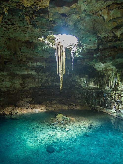 Fayl:Cenote in valladolid mexico (21362599476).jpg