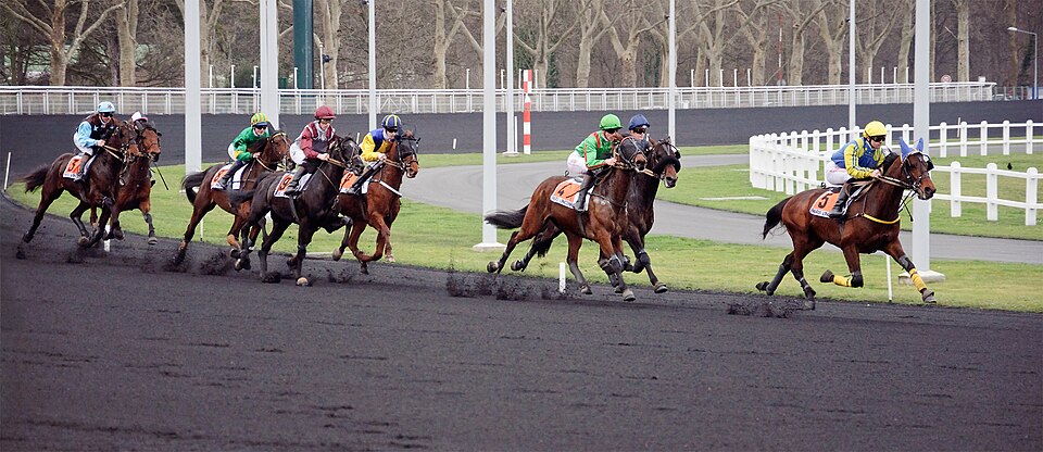 Fayl:Course trot Vincennes.jpg