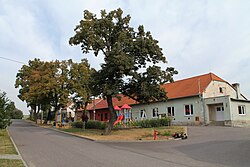 Džbánice markazi