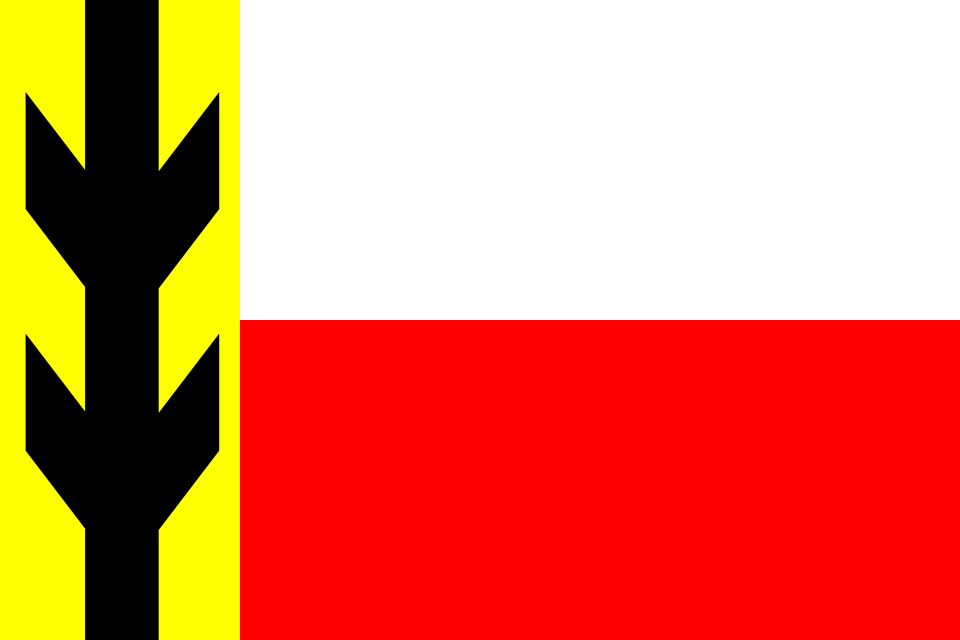 Fayl:Kokorin prapor.svg