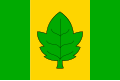 Flag of Město Albrechtice