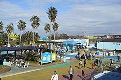 Skyline of Mihama