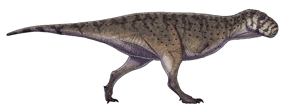 Fayl:Skorpiovenator bustingorryi.jpg