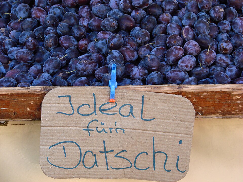 Fayl:Zwetschgen, 2006 (01).jpg