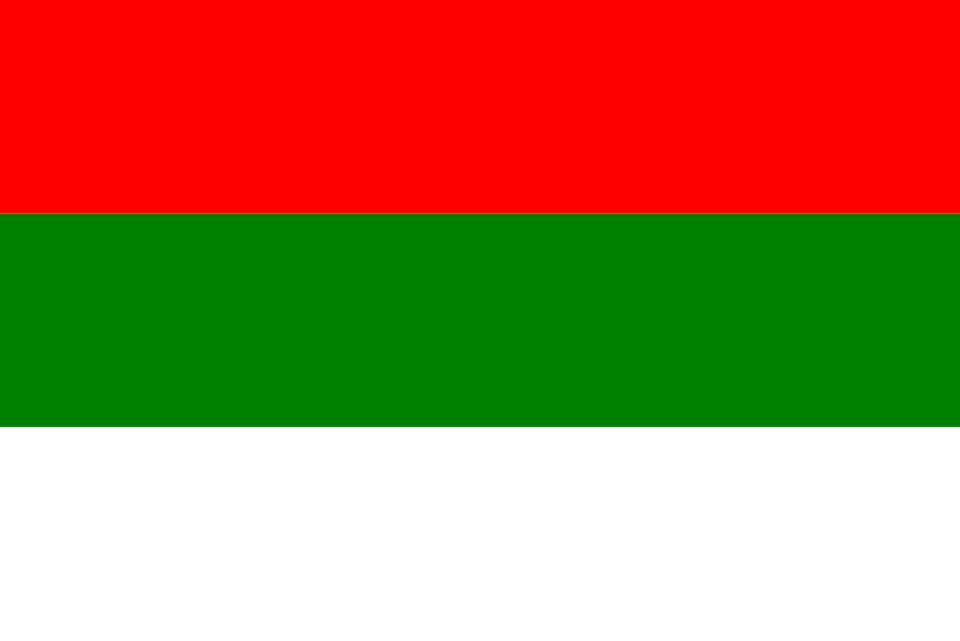 Fayl:Flag of Tuluá.svg