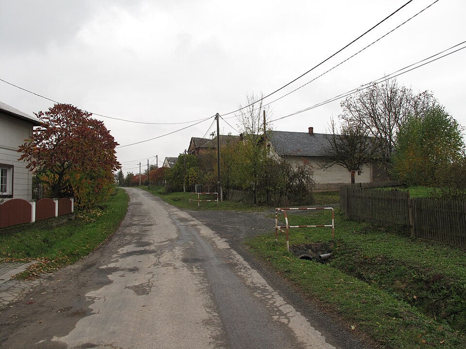 Fayl:Karlov (Bohušov), silnice.jpg