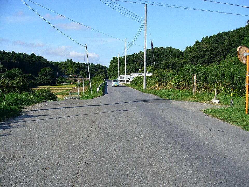Fayl:Old-narita-railway,tako-line,shibayama-town,japan.JPG