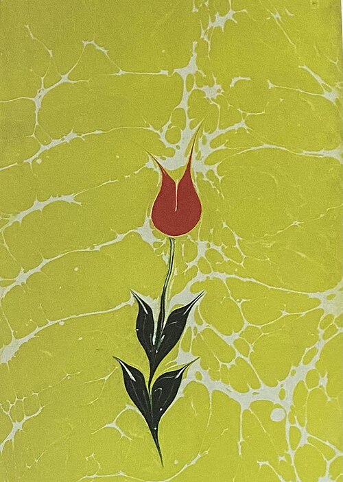 Fayl:Lale Ebru.jpg