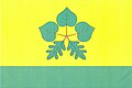 {{{rasmiy_nomi}}}ning bayrogʻi