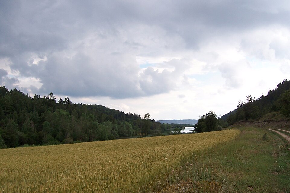 Fayl:Road to Bostancı Pond.jpg