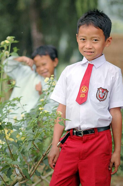 Fayl:Anak SD di Ciwidey.jpg