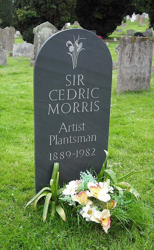 Fayl:Cedic Morris gravestone.JPG