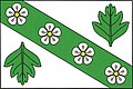 {{{rasmiy_nomi}}}ning bayrogʻi
