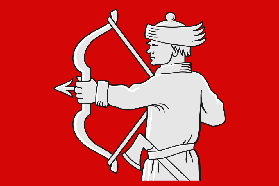 Fayl:Lieksa lippu.svg
