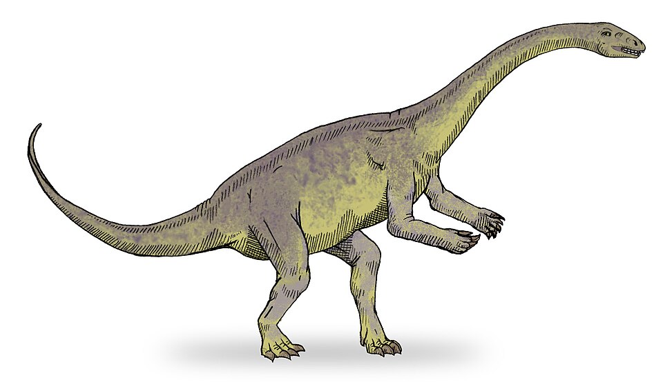 Fayl:Lufengosaurus sketch2.jpg