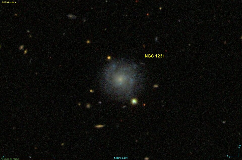 Fayl:NGC 1231 SDSS.jpg