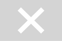 Fayl:No flag.svg