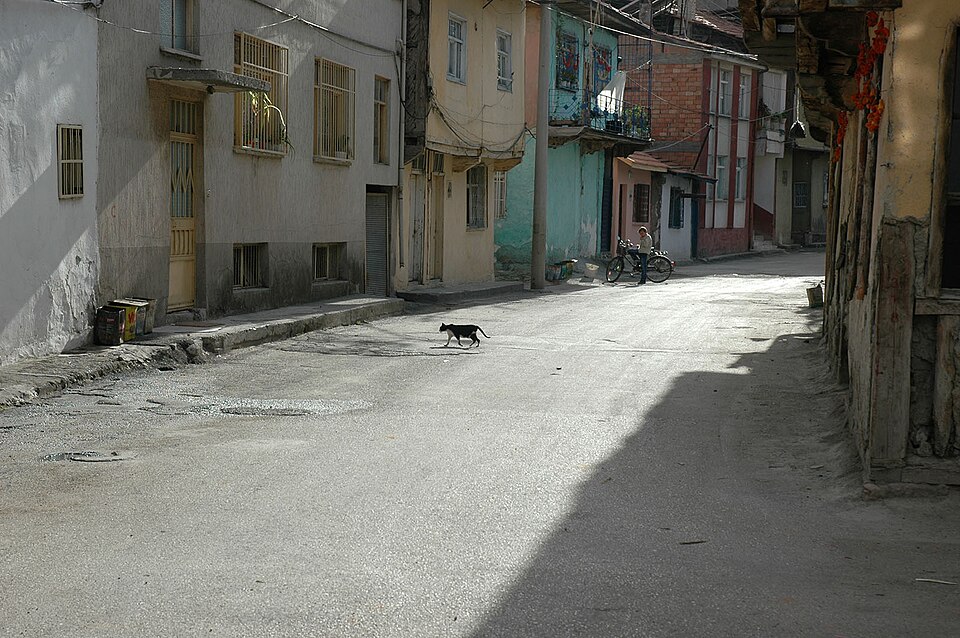 Fayl:Turhal 2004 1916.jpg