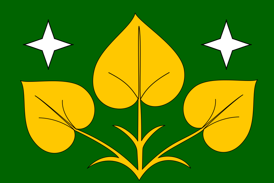 Fayl:Výprachtice flag CZ.svg