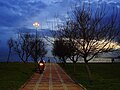 00:13, 2006-yil 21-noyabr dagi versiya uchun tasvir