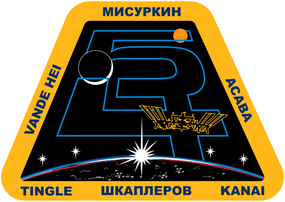 Fayl:ISS Expedition 54 Patch.svg