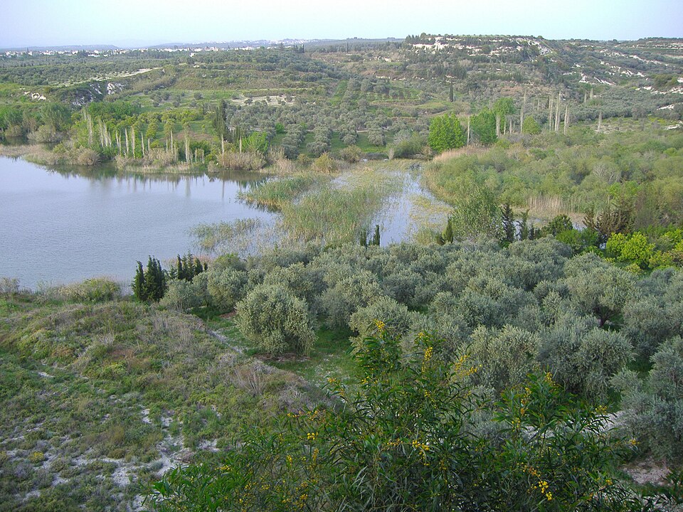 Fayl:Mushayrafet al-Samouk.JPG