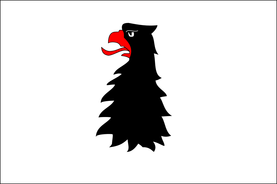 Fayl:Čechočovice TR flag.svg
