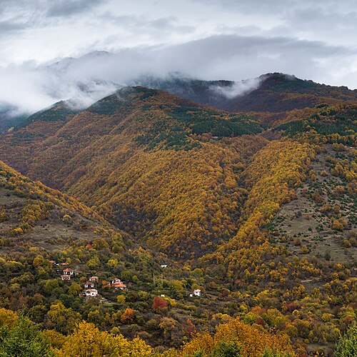Doleni
