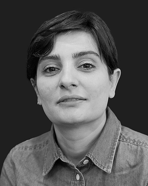 Fayl:Elnaz Mohammadi.jpg