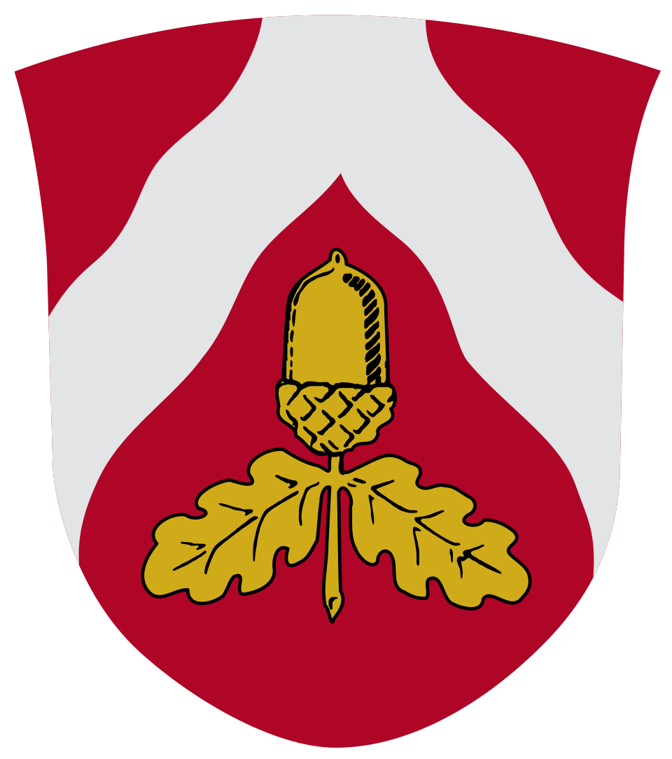 Fayl:Odder Kommune coa.svg