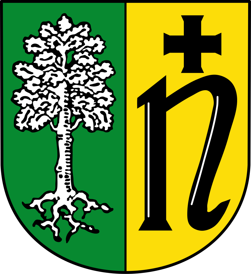 Fayl:DEU Roden COA.svg