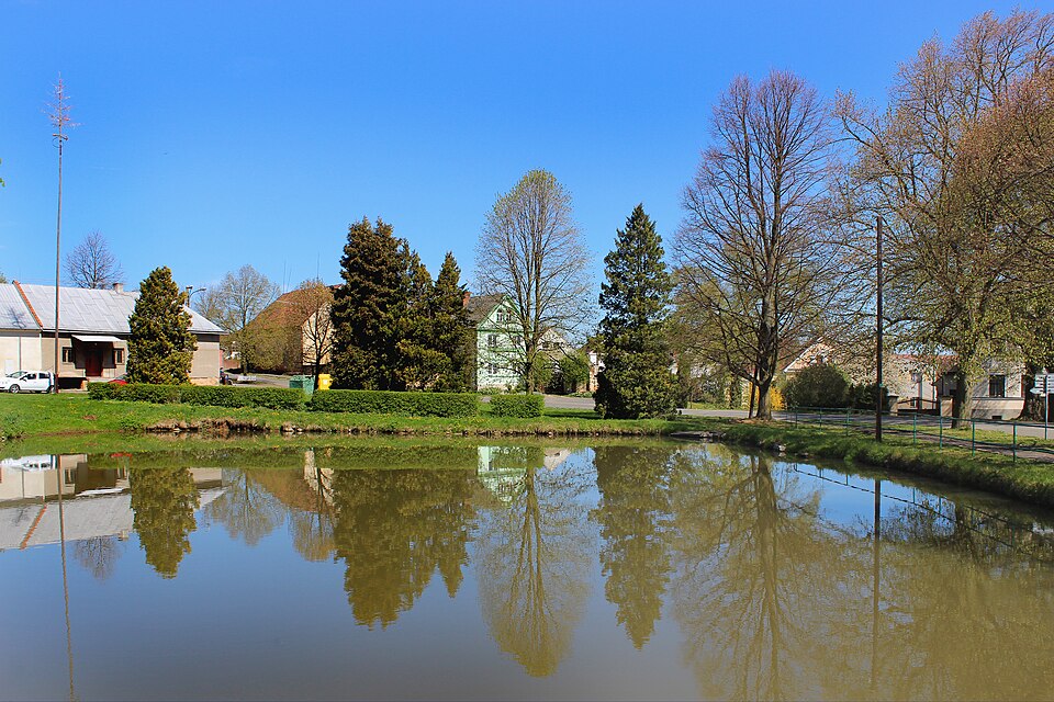 Fayl:Kšice, common pond.jpg