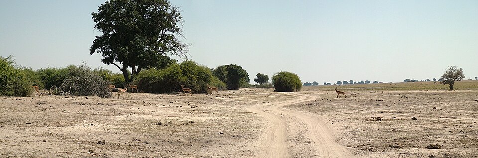 Fayl:Chobe National Park Riverfront Tracks.jpg