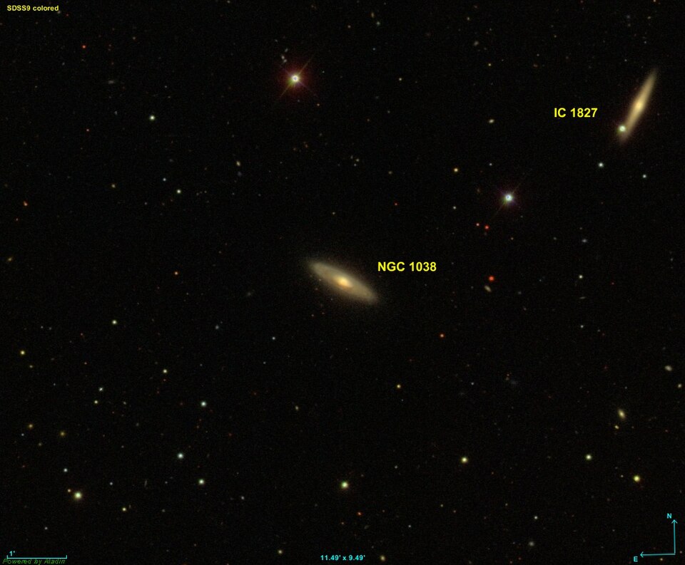 Fayl:NGC 1038 SDSS.jpg