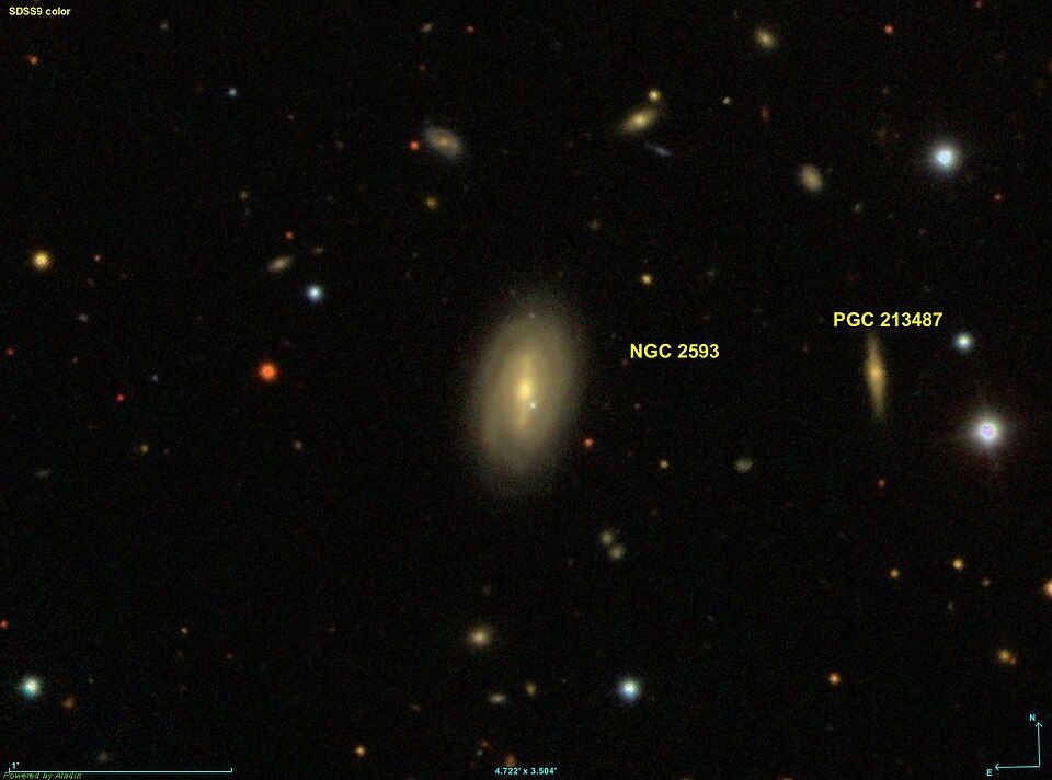 Fayl:NGC 2593 SDSS.jpg