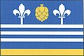 {{{rasmiy_nomi}}}ning bayrogʻi