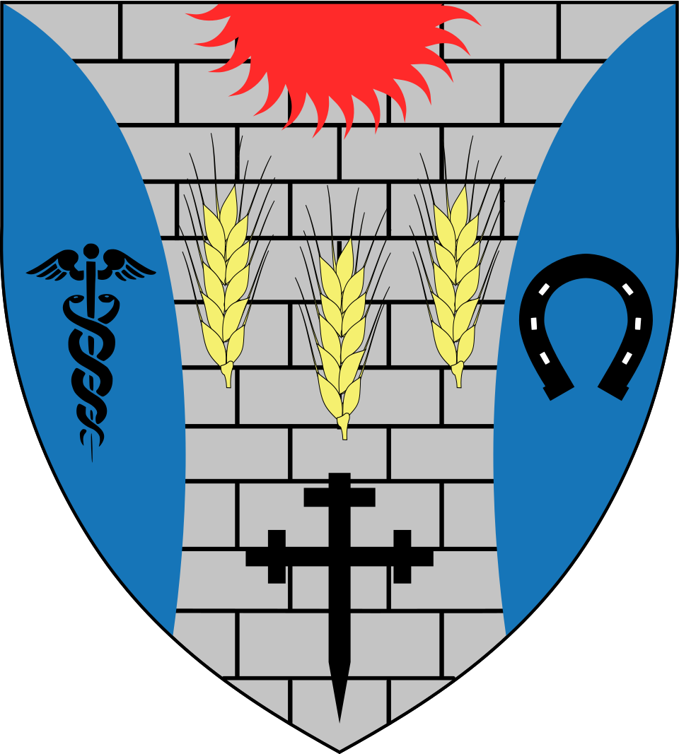 Fayl:Stema Calarasi.svg