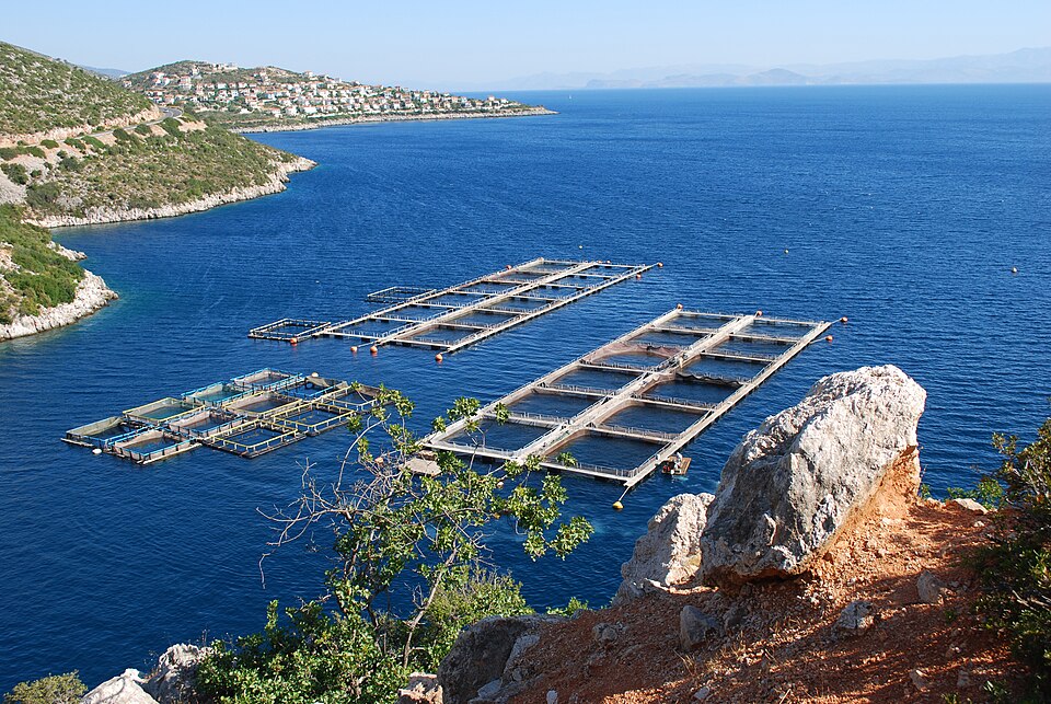 Fayl:20090729 argolikos03.jpg