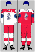 2019—2021 IIHF formalari