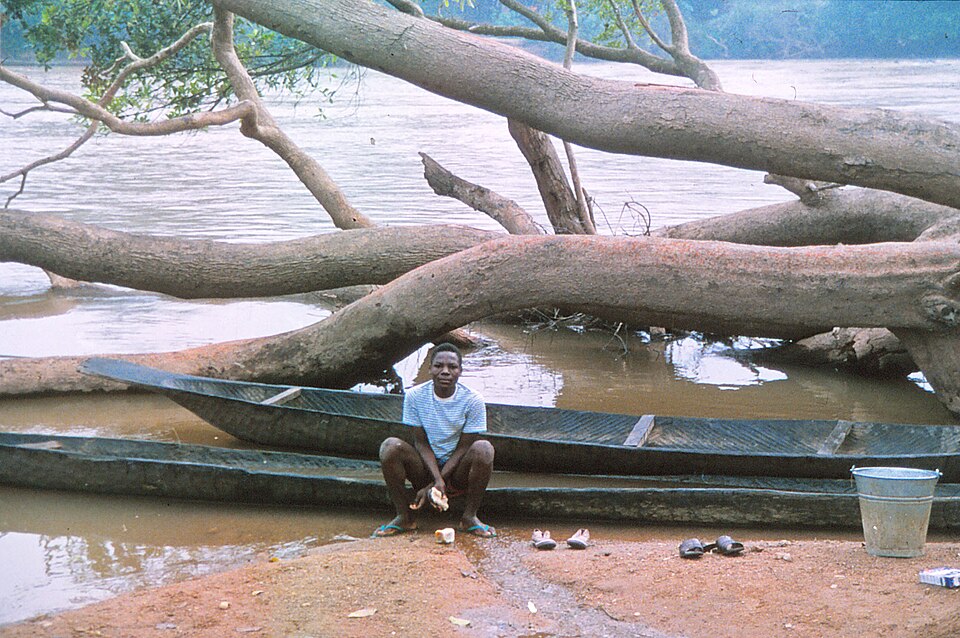 Fayl:Donga River at Abong Nigeria.jpg