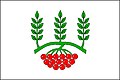{{{rasmiy_nomi}}}ning bayrogʻi