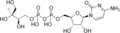4-difosfositidil-2-C-metileritritol (CDP-ME)