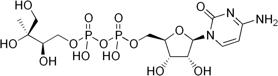 Fayl:4-diphosphocytidyl-2-C-methylerythritol.png